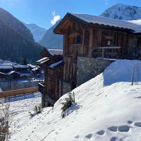 Chalet des Trappeurs Coeur Vanoise La Plagne Extérieur photo