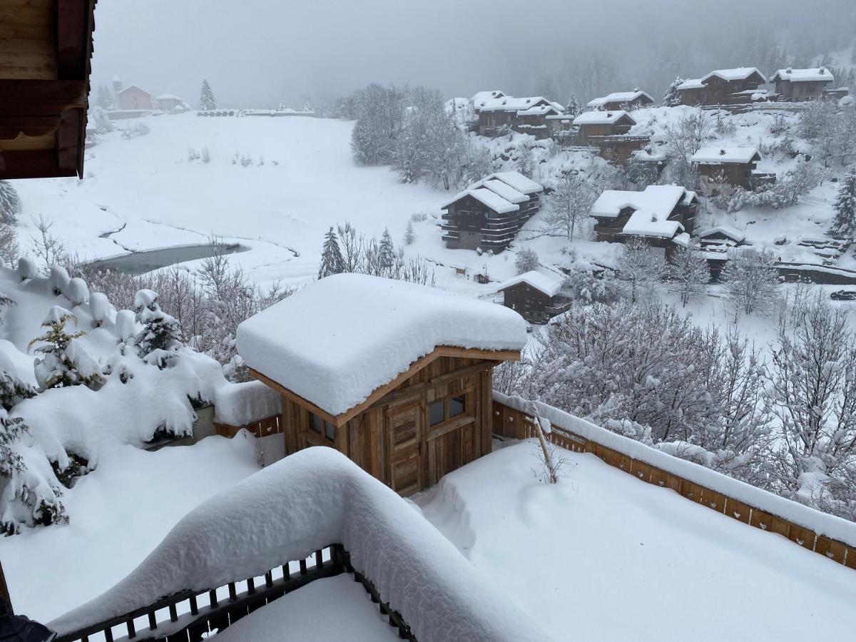Chalet des Trappeurs Coeur Vanoise La Plagne Extérieur photo